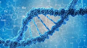 Biotech