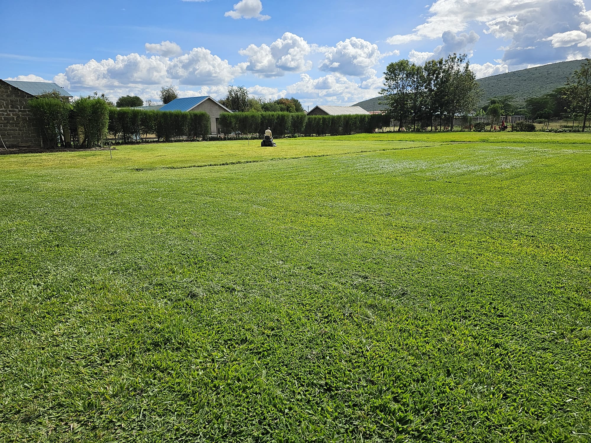 Garden area